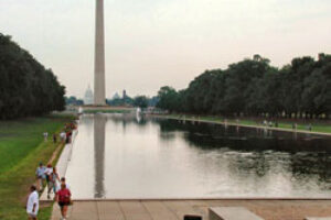 The Grass is Greener at DC’s National Mall